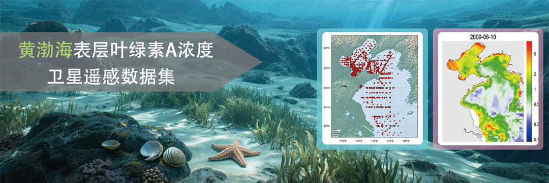 黄渤海表层叶绿素a浓度卫星遥感数据集